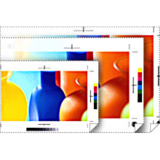 Epson Papier épreuve blanc semi-mat 36" x 100' S0420