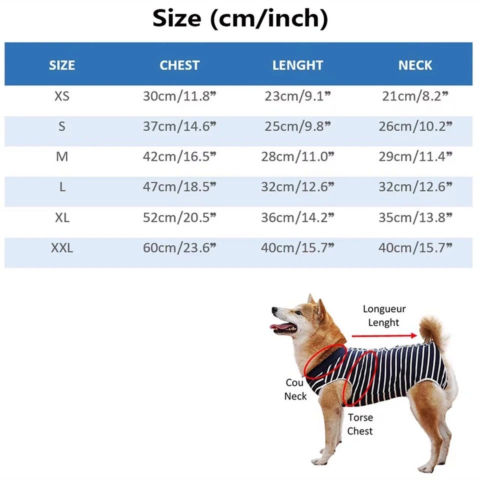 Pull Christian Dogior – Pull pour chien
