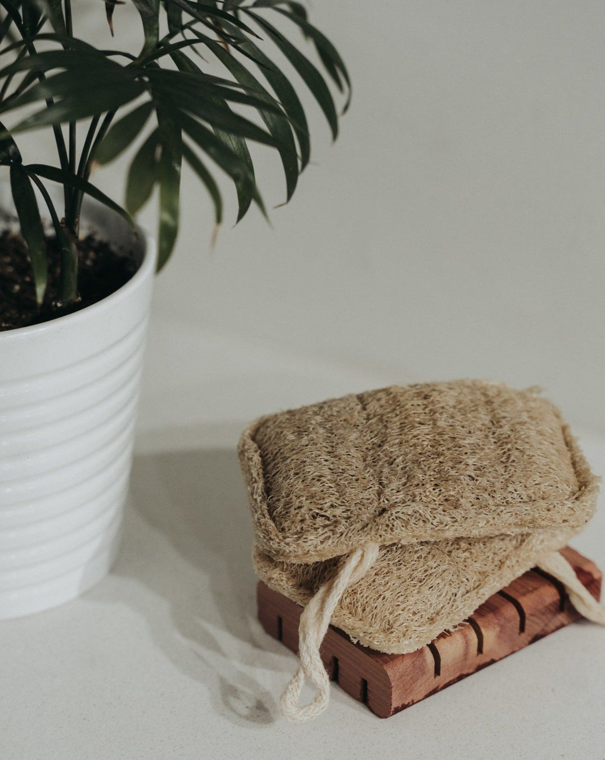 Éponge de loofah naturelle (lot de 3)