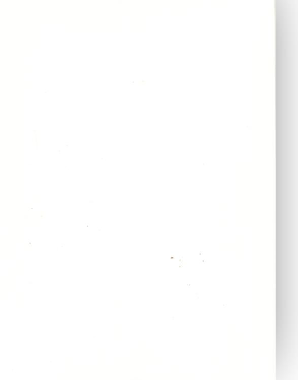 Foundation Cardstock 25 shts 220 gsm - Milk White