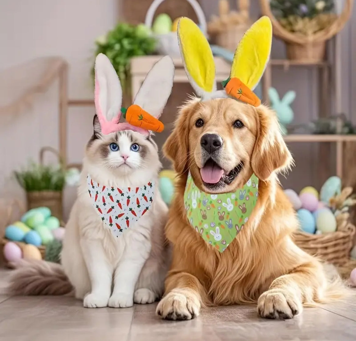 Costume de lapin de Pâques – Ensemble d'accessoires de luxe festifs pour chien