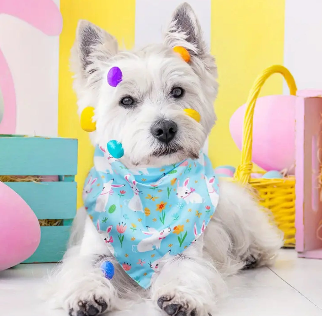 Bandana lapin de Pâques – Bandana de luxe festif pour chien