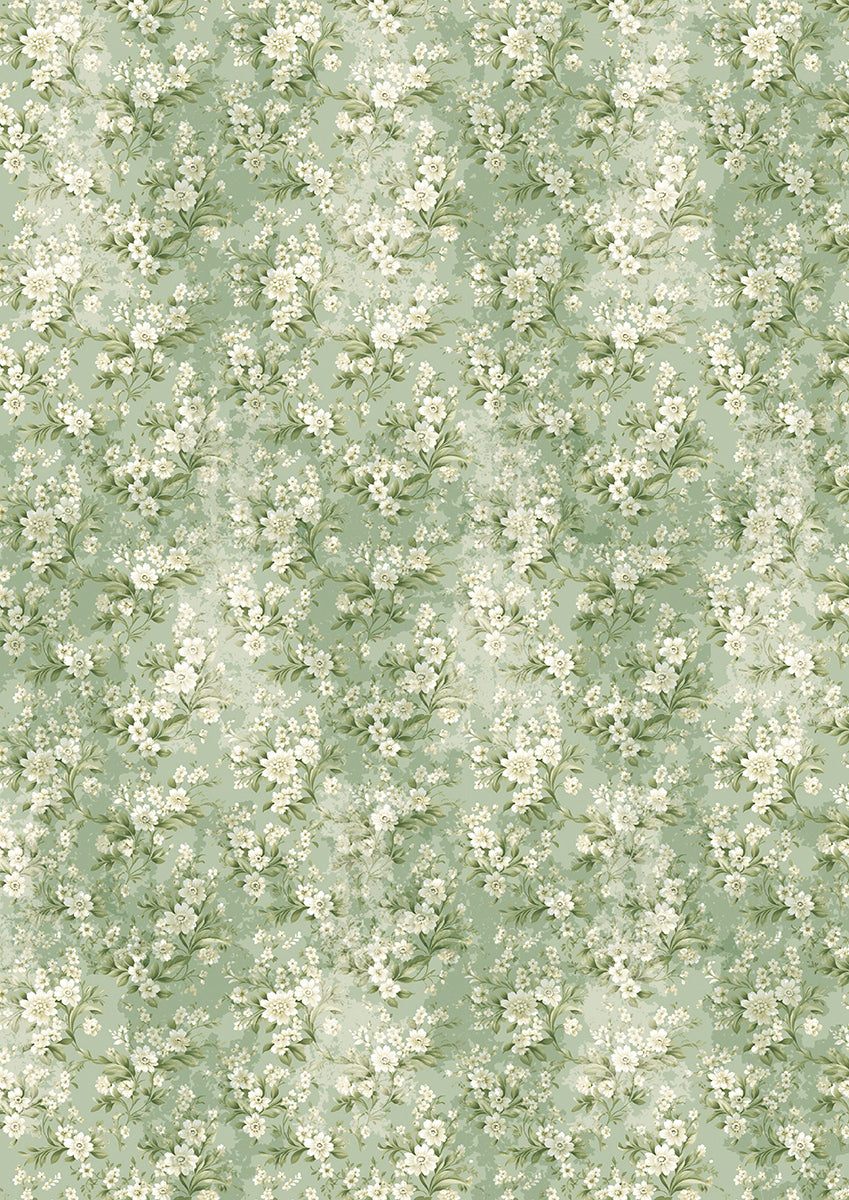 Papier de soie A4 6/Paq Elysium