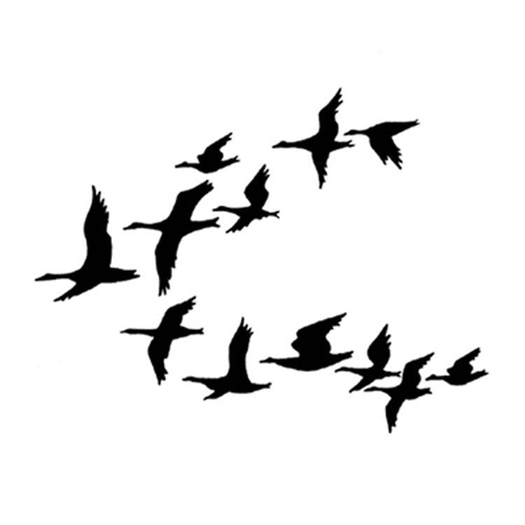 Lavinia Stamp - Canards