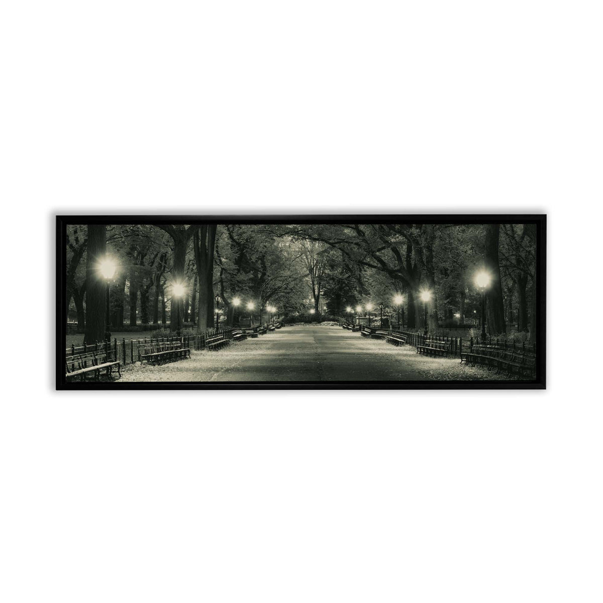 Le Mall à Central Park 72" x 24"