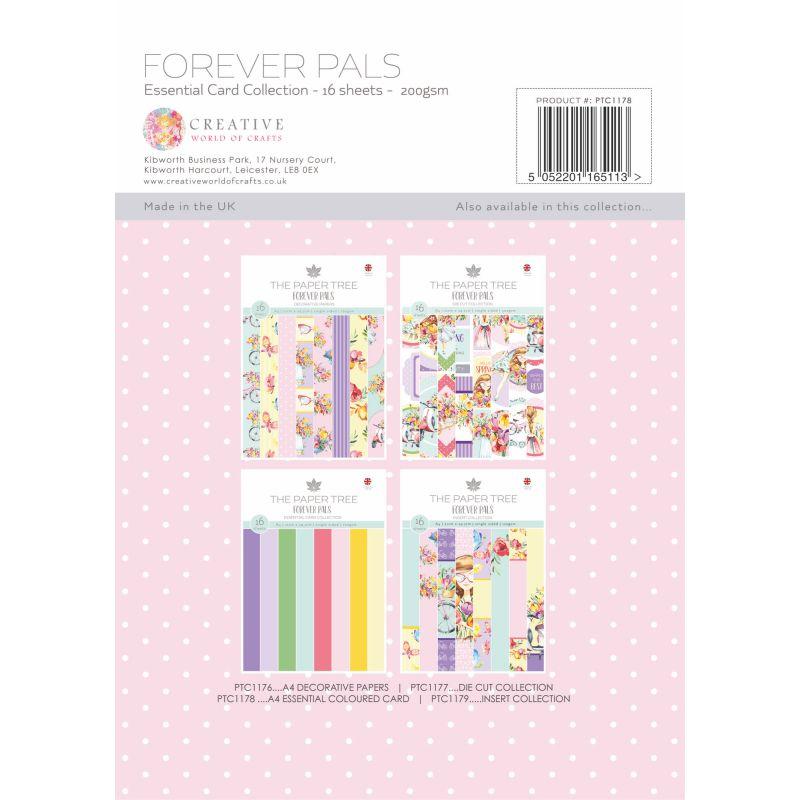 The Paper Tree Forever Pals A4 – Cartonnettes de couleur essentielles