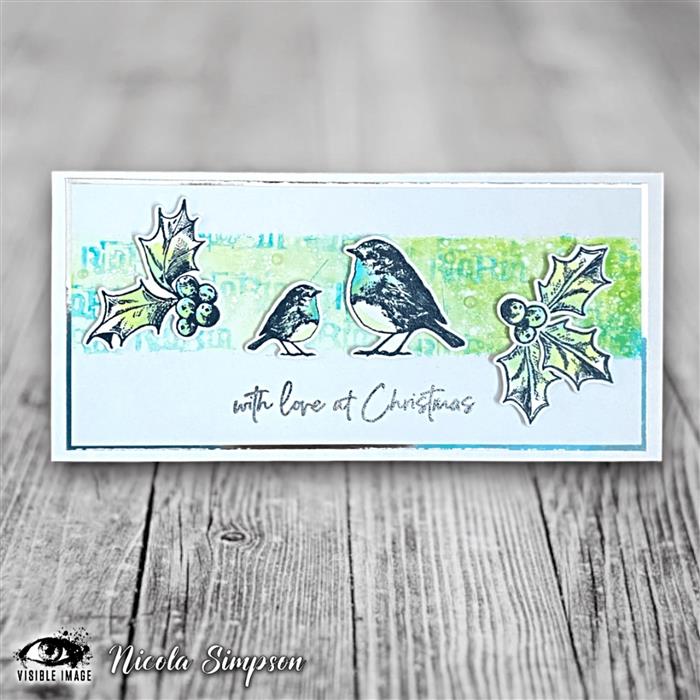 Visible Image Christmas Robin - Set de tampons A6