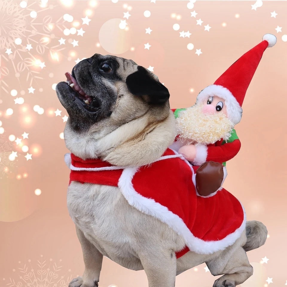 Costume de Noël traîneau et chien du Père Noël | Tenue de fête