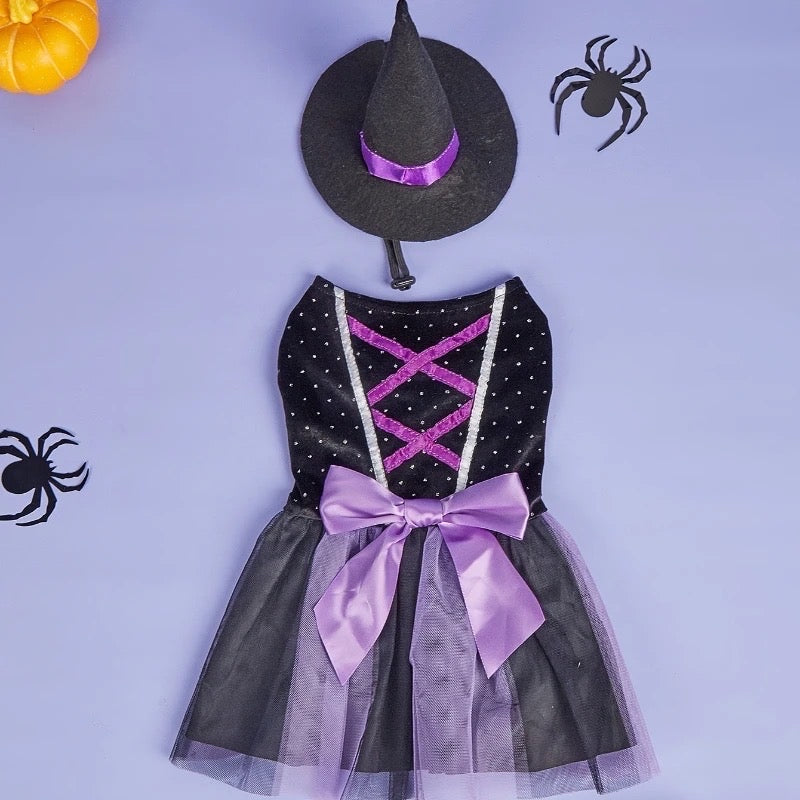 Robe de chien chapeau de sorcière | Costume d'Halloween