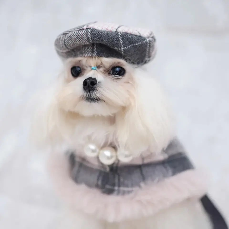 Ensemble Harnais, Chapeau et Laisse pour chien Peaky Street Tweed