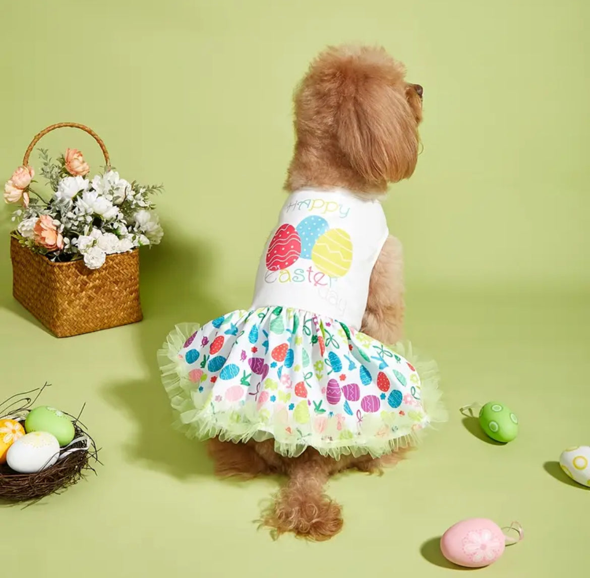 Robe de Pâques – Robe de luxe festive pour chien