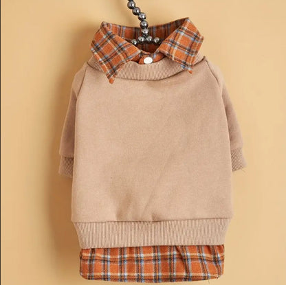 Pull pour chien Braxton | Pull pour chien pour temps froid