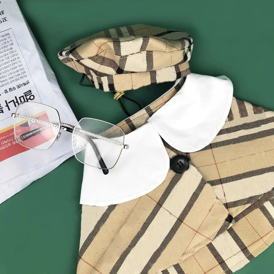 Ensemble Cape et Chapeau pour Chien | Tenue Signature Brrbrry