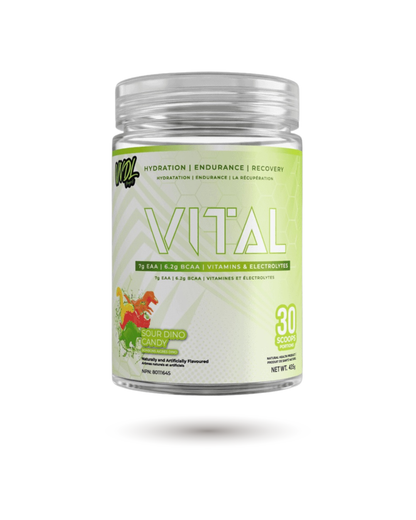 VNDL Project Vital - Endurance, Récupération et Hydratation