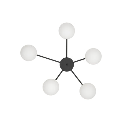 ELTON Black 5-Light Scandinavian Ceiling Light for Living Room, Bedroom & Hallway