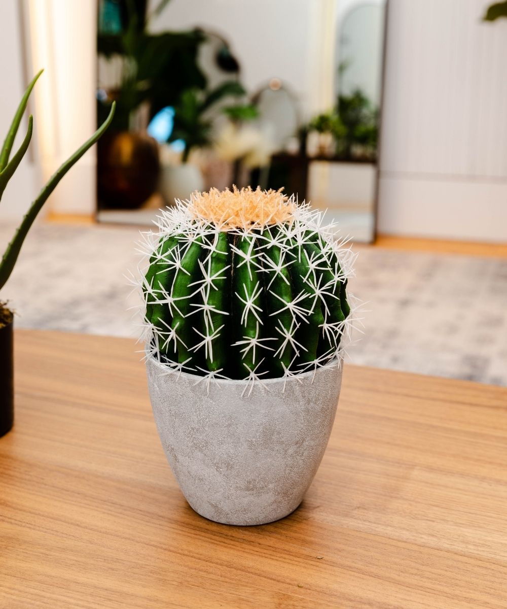 Plante Artificielle Coco Cactus en Pot 28 cm
