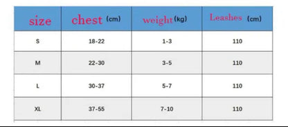Chewy Pawtton Dog Harness and Leash Set | Dog Walking Outfit