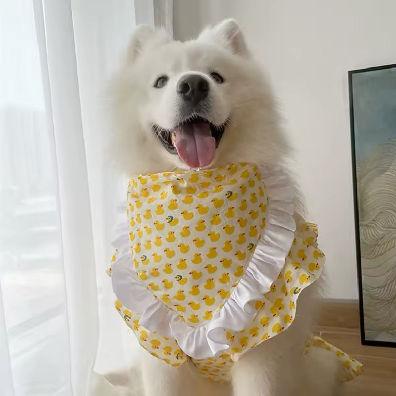 Ensemble robe et chapeau pour chien de grande race « Bonheur estival » – Luxe