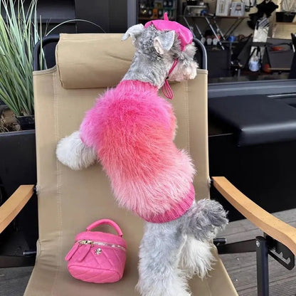 Pull pour chien | Pull pour chien « Je suis fabuleux »