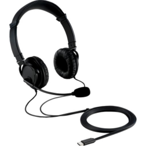 USBC HiFi Head Phones w Mic