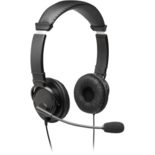 Hi-Fi Headphones w Mic 6ft Cable