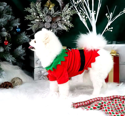Elf Christmas Outfit – Festive Holiday Costume for Dogs