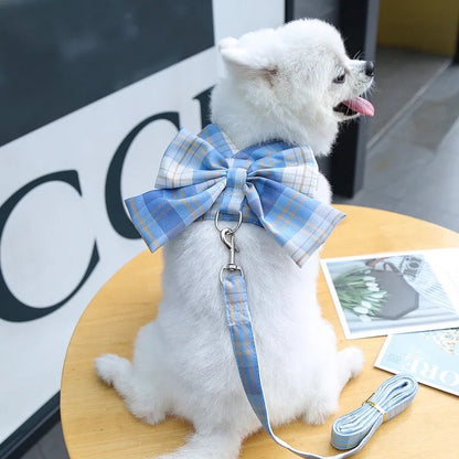 Bow Detail Dog Harness and Leash Set | Dog Walking Outfit