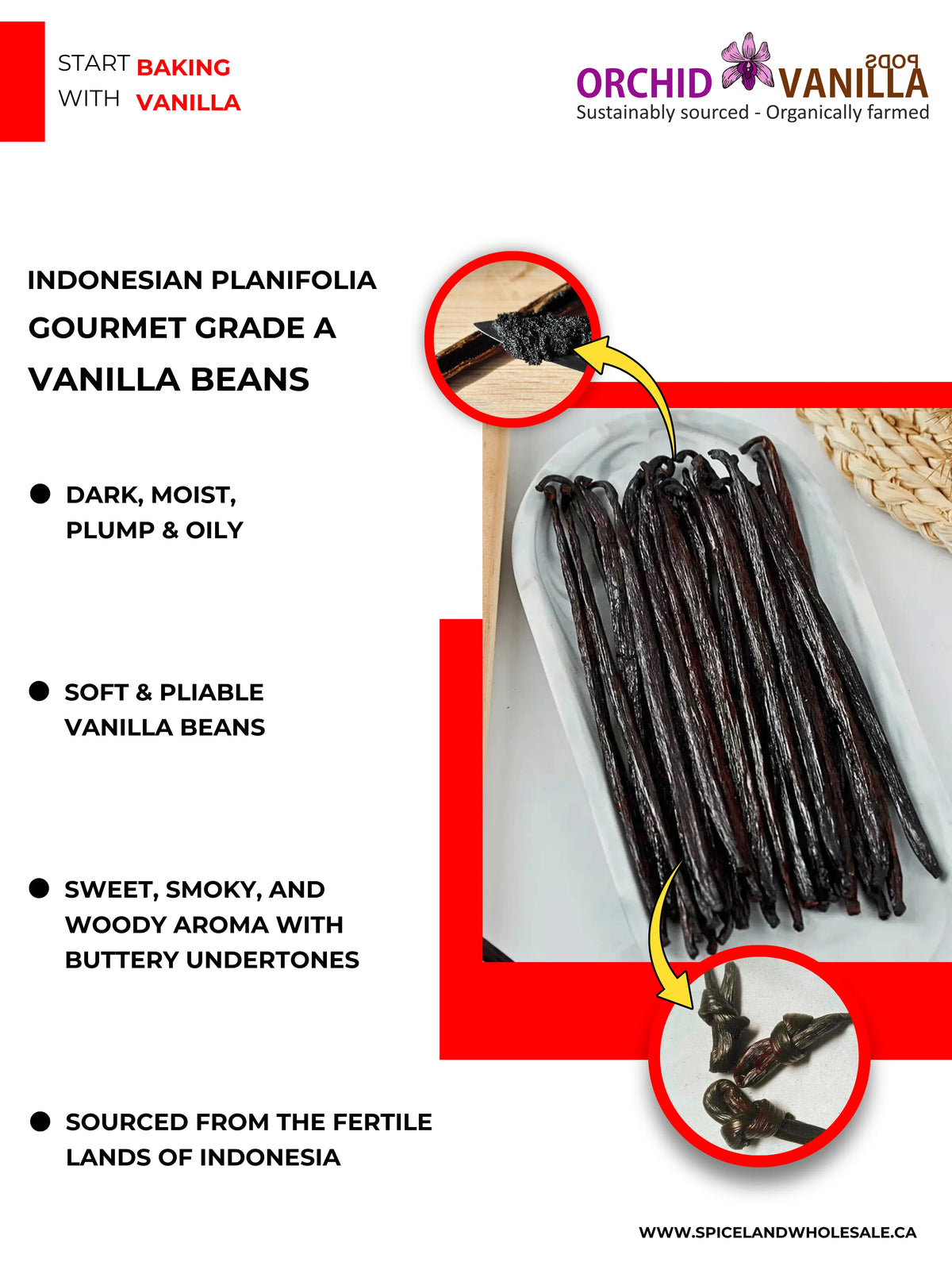 Indonesian Vanilla (Sumatra) Planifolia Gourmet Grade-A Beans<br>For Extract And Baking<BR>By Pound