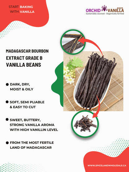 Madagascar Bourbon Extract Vanilla Beans Grade-B <br>For Extract Making<BR>By Ounce