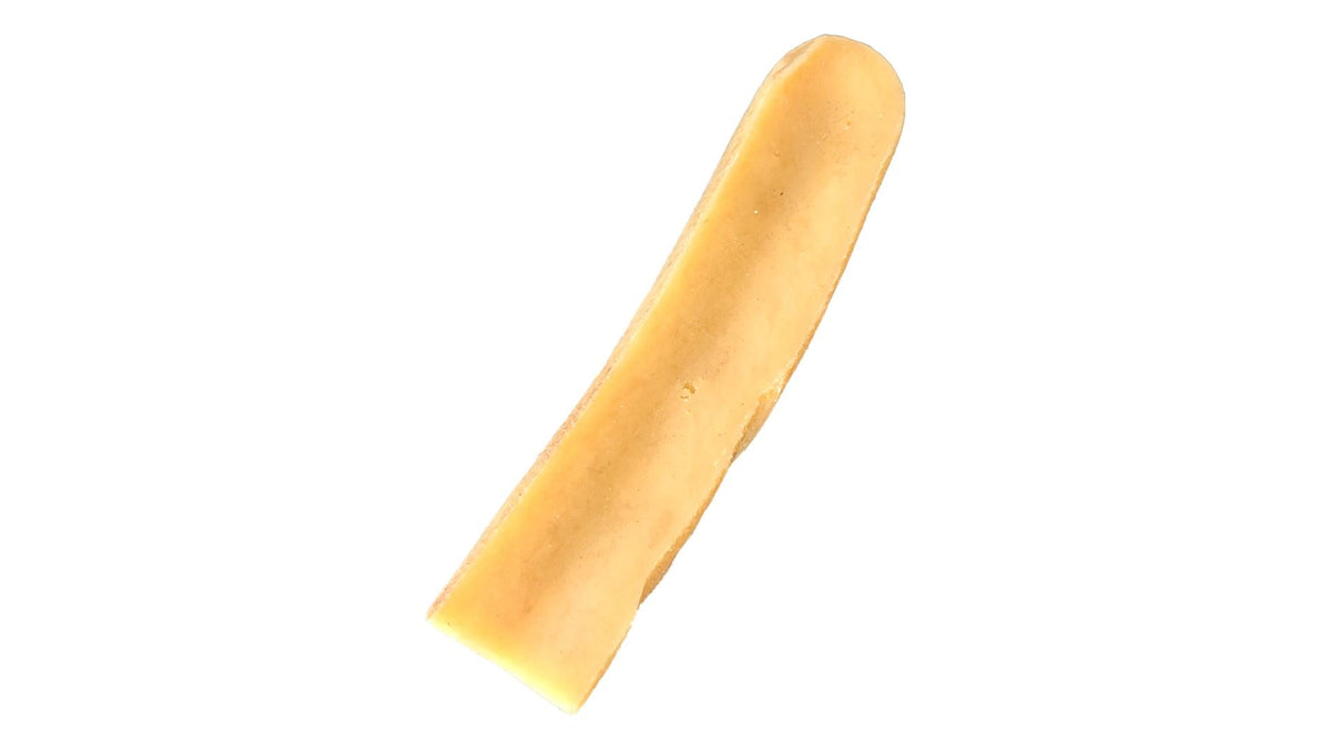 Petit yak de l'Himalaya