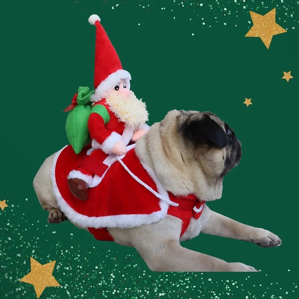 Costume de Noël traîneau et chien du Père Noël | Tenue de fête