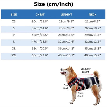 Pull Christian Dogior – Pull pour chien