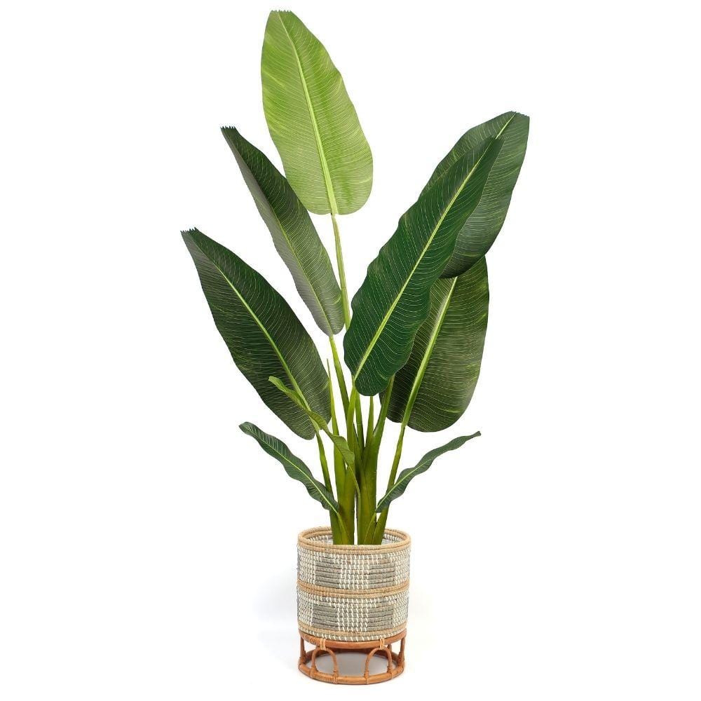 Masina - Seagrass Floor Planter & Rattan Stand