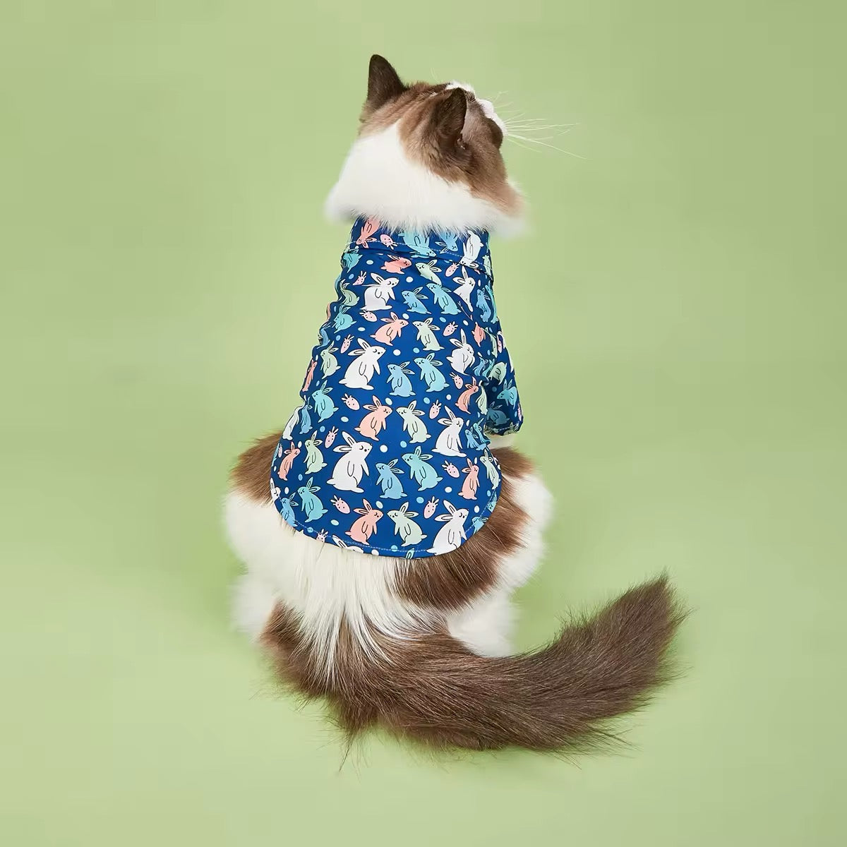 Chemise de Pâques pour chien – Chemise festive de luxe pour chien