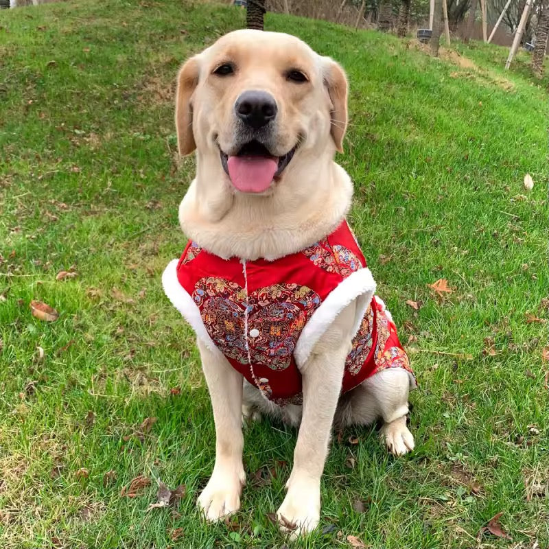 Gilet Brocart Prospérité Nouvel An Lunaire pour Chien