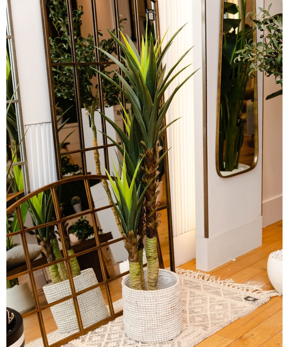 Plante en pot artificielle Oca Century 160 cm