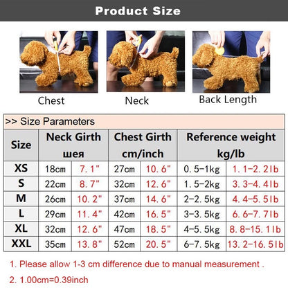 Coco Chewnel Harness Set | Dog Harness and Leash  Set