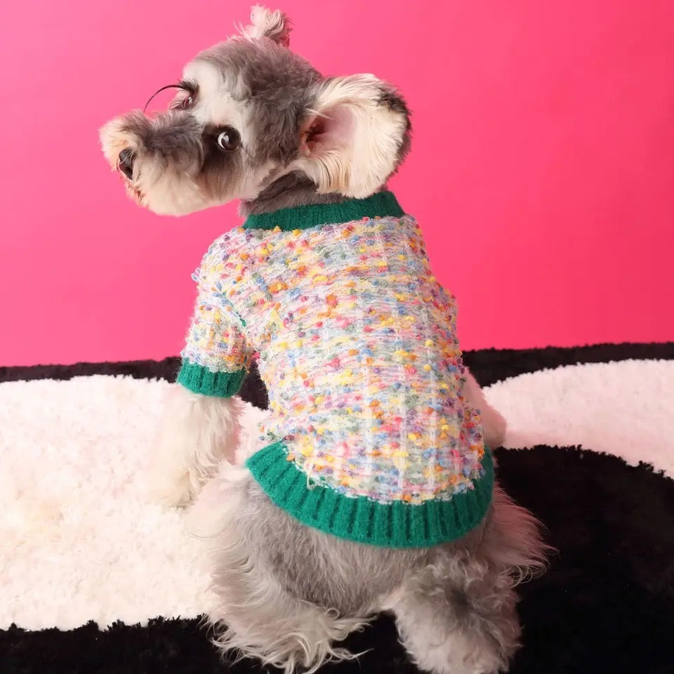 Pull tricoté classique Evergreen pour chien | Pull chaud et confortable pour chien