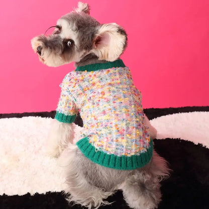 Pull tricoté classique Evergreen pour chien | Pull chaud et confortable pour chien