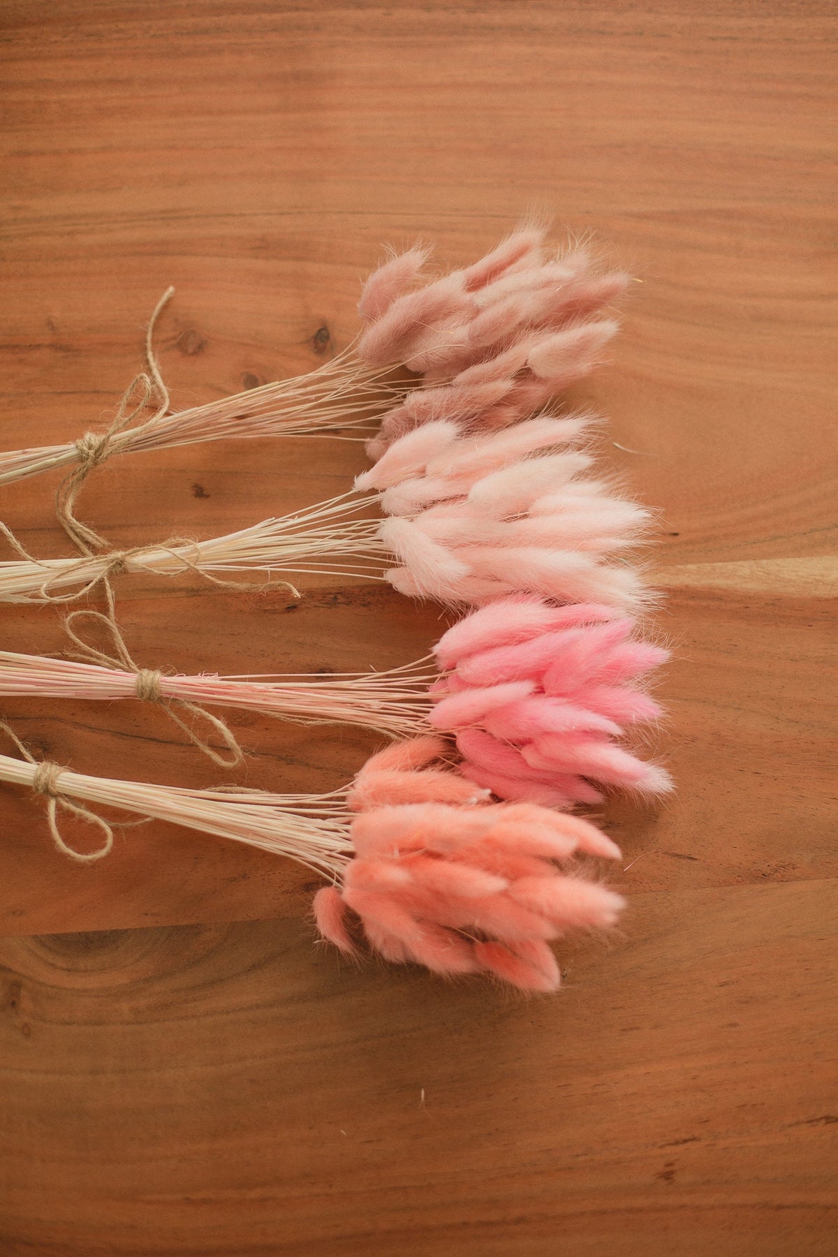 Bunny Tails