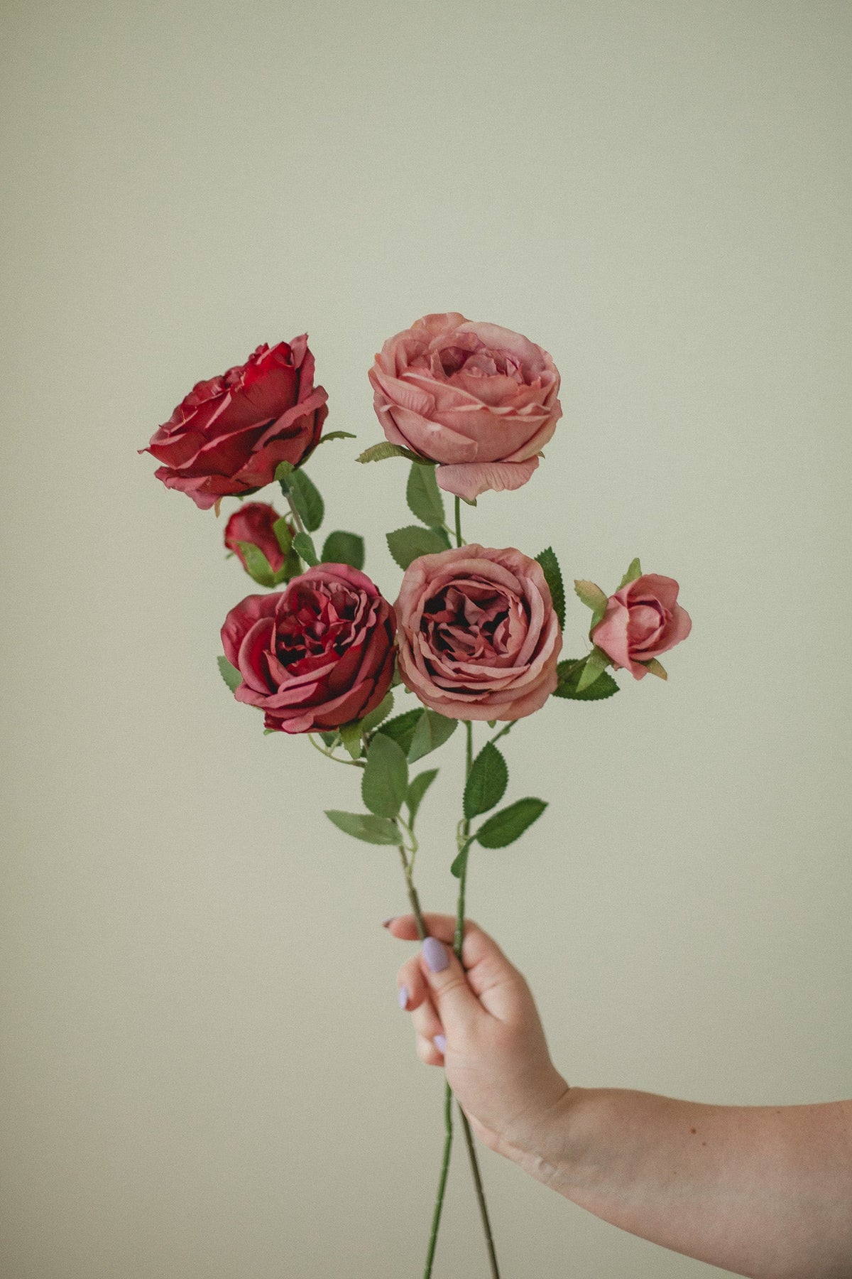 Grande tige de rose