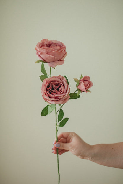 Grande tige de rose