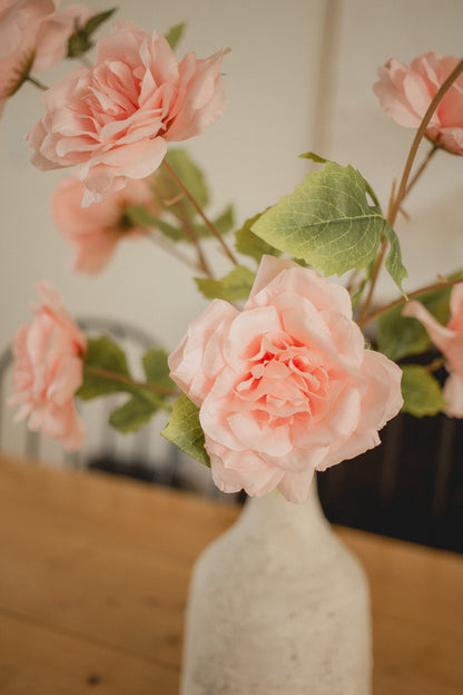 Branche de rose