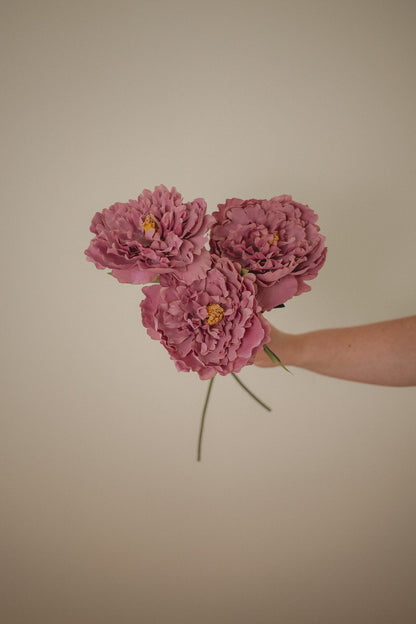 London Peony