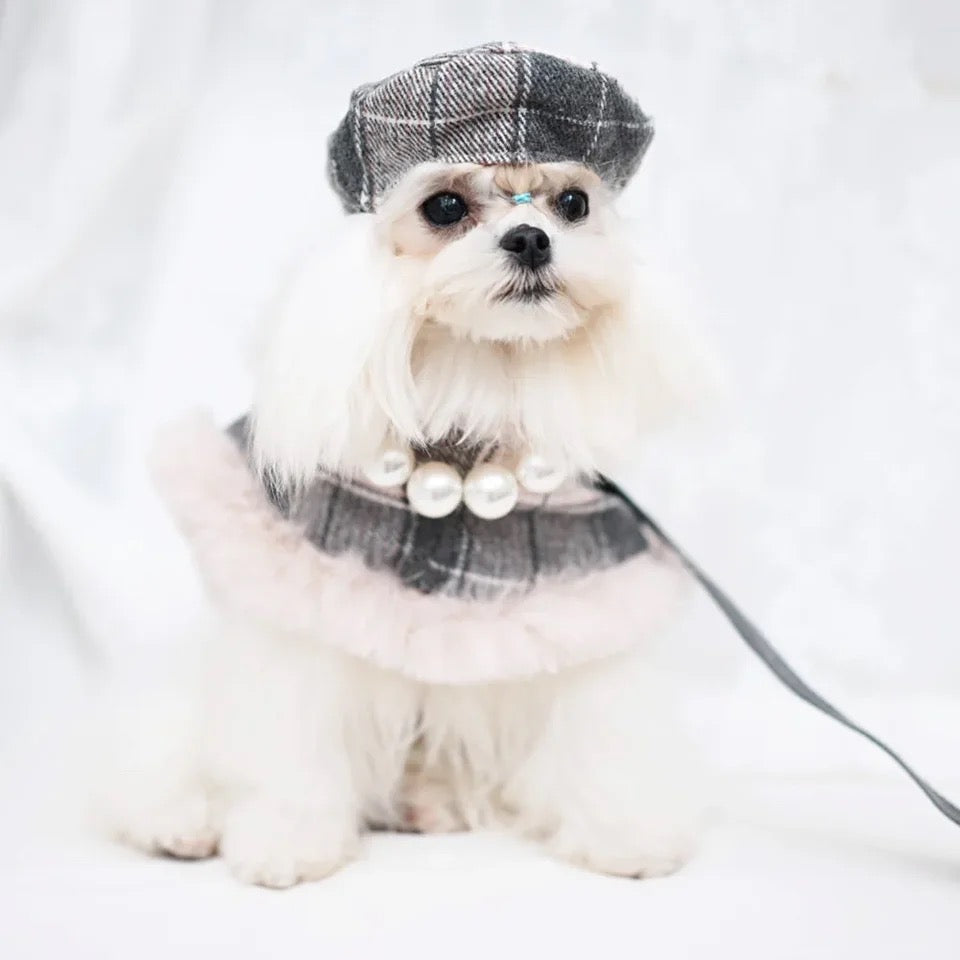 Ensemble Harnais, Chapeau et Laisse pour chien Peaky Street Tweed