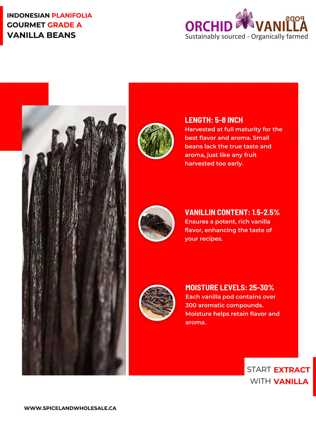 Indonesian Vanilla (Sumatra) Planifolia Gourmet Grade-A Beans<br>For Extract And Baking<BR>By Count