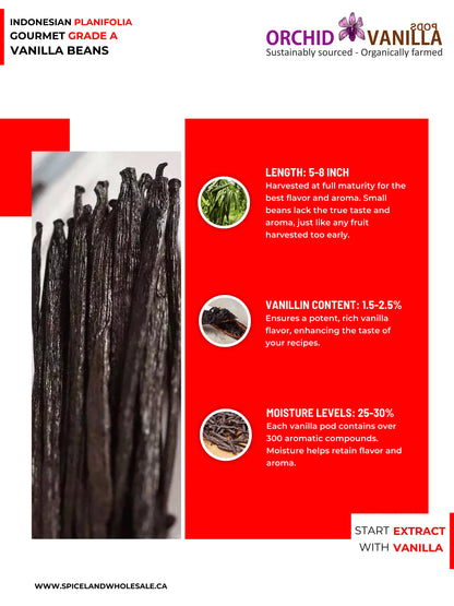 Indonesian Vanilla (Sumatra) Planifolia Gourmet Grade-A Beans<br>For Extract And Baking<BR>By Count