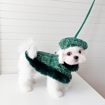 Ensemble Harnais, Chapeau et Laisse pour chien en Tweed Héritage Evergreen