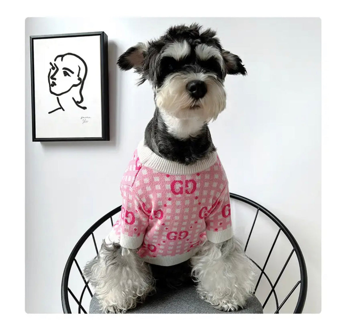 Pull Tricoté pour Chien | Pull de Luxe pour Chien Gigi