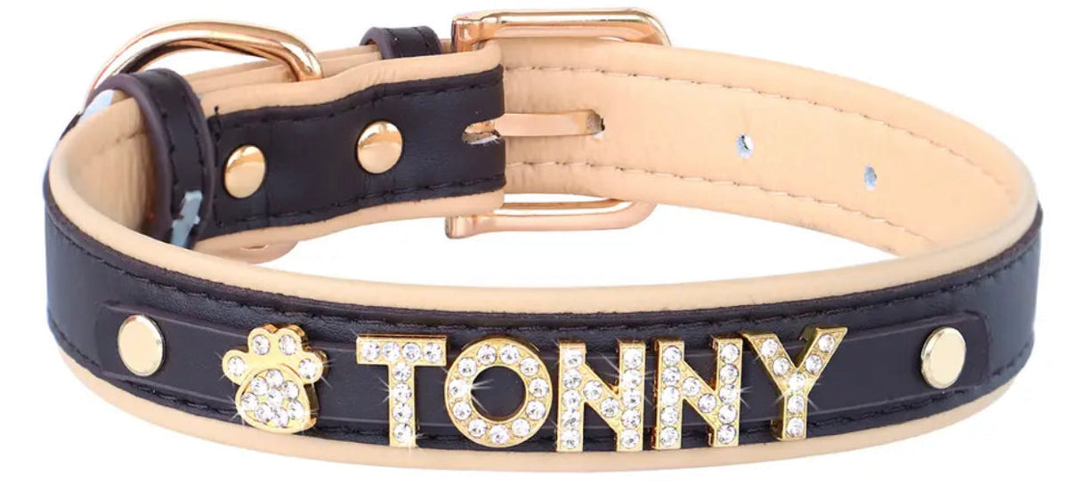 Collier pour chien Ivory Noir Crown Name | Collier pour chien personnalisé